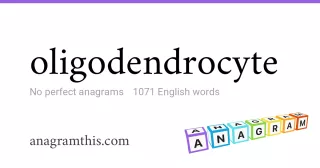 oligodendrocyte - 1,071 English anagrams