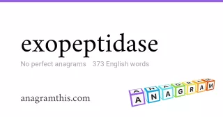 exopeptidase - 373 English anagrams