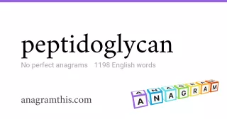 peptidoglycan - 1,198 English anagrams